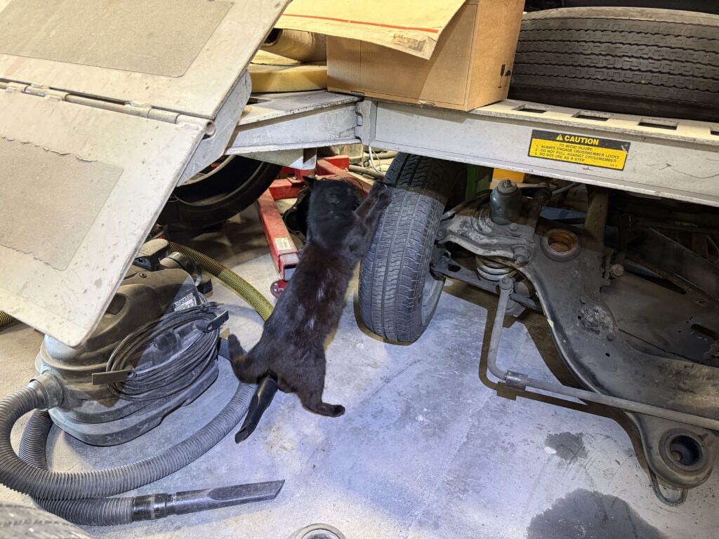 Mercedes SL190 rear suspension disassembly in workshop with mechanic assistant cat inspecting components